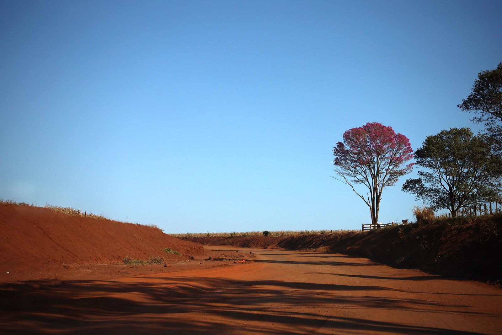 Tempo Estável e Calor Intenso Predizem a Terça-feira em Mato Grosso do Sul