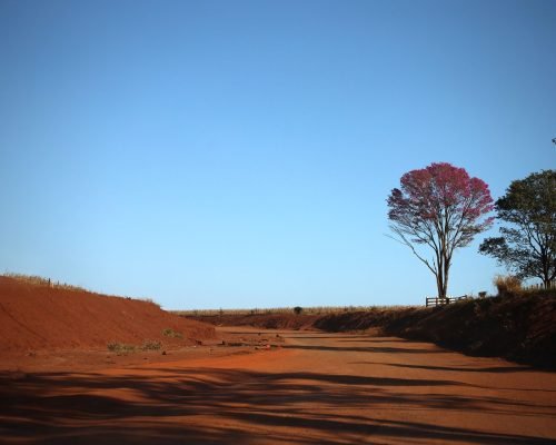 Tempo Estável e Calor Intenso Predizem a Terça-feira em Mato Grosso do Sul