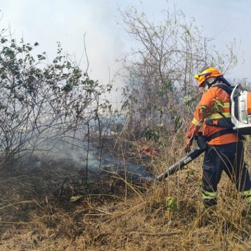 Pantanal de MS Enfrenta Incêndios Ativos com Umidade em Baixos Níveis